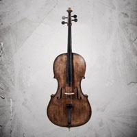 Agitato Grandiose Ensemble Cellos