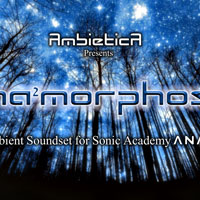 Anamorphosis for Sonic Academy ANA 2