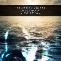 Auddict Celestial Voices Calypso