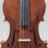 Auddict Master Solo Strings - Solo Viola