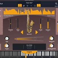 Audio Modeling SWAM Solo Woodwinds v3 Audio Modeling SWAM Solo Woodwinds v3
