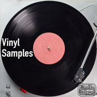 AudioFriend Vinyl Samples