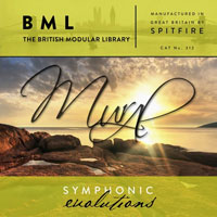 BML Mural Symphonic Evolutions