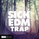 Big EDM Sick EDM Trap