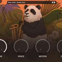 Lofi Panda 4