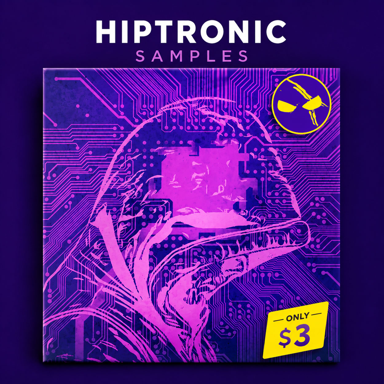 Dabro Music Samples Hiptronic Samples Dabro Music Samples Hiptronic Samples