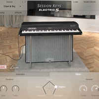 E-instruments Session Keys Electric S