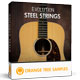 Evolution Acoustic Guitar Steel Strings [DVD]