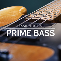 Native Instruments Session Bassist Prime Bass