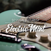 Native Instruments Session Guitarist Electric Mint