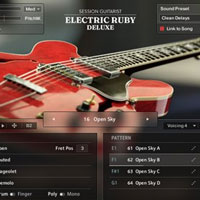 Session Guitarist Electric Ruby Deluxe