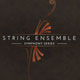 Native Instruments Symphony Essentials - String Ensemble