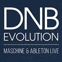 Niche Audio Creator Series DnB Evolution