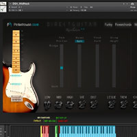 Pettinhouse Direct Guitar 4
