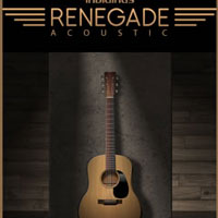 Renegade Acoustic Guitar