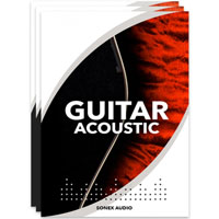 Sonex Audio Acoustic Guitars