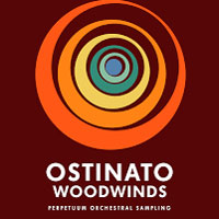 Sonokinetic Ostinato Woodwinds