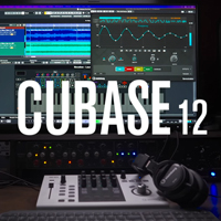 Steinberg Cubase Pro 12 [DAW Only]