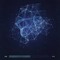 The Crow Hill Company Cosmos The Crow Hill Company Cosmos