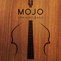 Vir2 MOJO Upright Bass