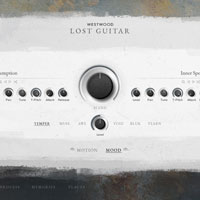 Westwood Instruments Lost Guitar