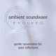 Ambient Soundware Evolved
