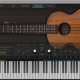 Ample Ethno Ukulele (AEU)