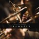 Auddict Master Brass Trumpets v1.1