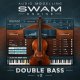 Audio Modelling SWAM Engine - Double Bass v2.0.1