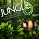 AudioJungle Mega Bundle Music SFX 2018