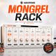 Audiopunks Mongrel Rack v1.0