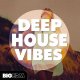 Big EDM Deep House Vibes