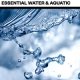 Big Room Sound Essential Water and Aquatic