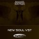 BigWerks New Soul