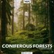 Boom Library Coniferous Forests [Stereo + Surround]