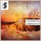 Cinematic Ambience [DVD]