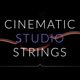 Cinematic Studio Strings v1.1