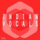 Deep Data Loops Indian Vocals