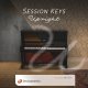 E-Instruments Session Keys Upright v.1.0