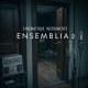 Ensemblia 2 Orchestral