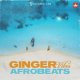 Fantastic Lab Ginger Vibes Afrobeats