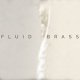 Fluid Brass Cinematic Brass Shorts