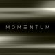 Momentum