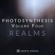 Jeremiah Pena Photosynthesis vol.4 - Realms