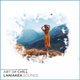 Laniakea Sounds Art Of Chill