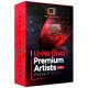 Mercurial Tones Premium Artist Diva Preset Pack