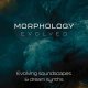 Morphology Evolved