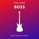 Mystic Alankar Boss Bass Guitar Loops