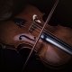 Native Instruments Amati Viola v.1.0