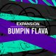 Native Instruments Expansion Bumpin Flava